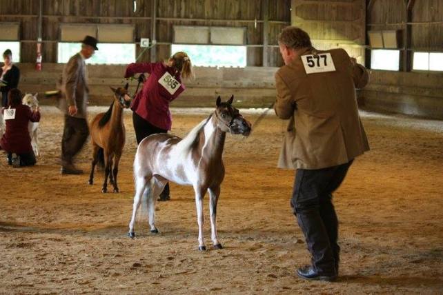 15672667_10154918305549744_2780846147739120938_n